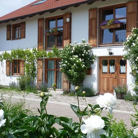 Wild Appartement *