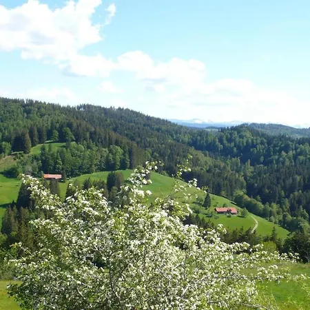 Wild * Maierhöfen